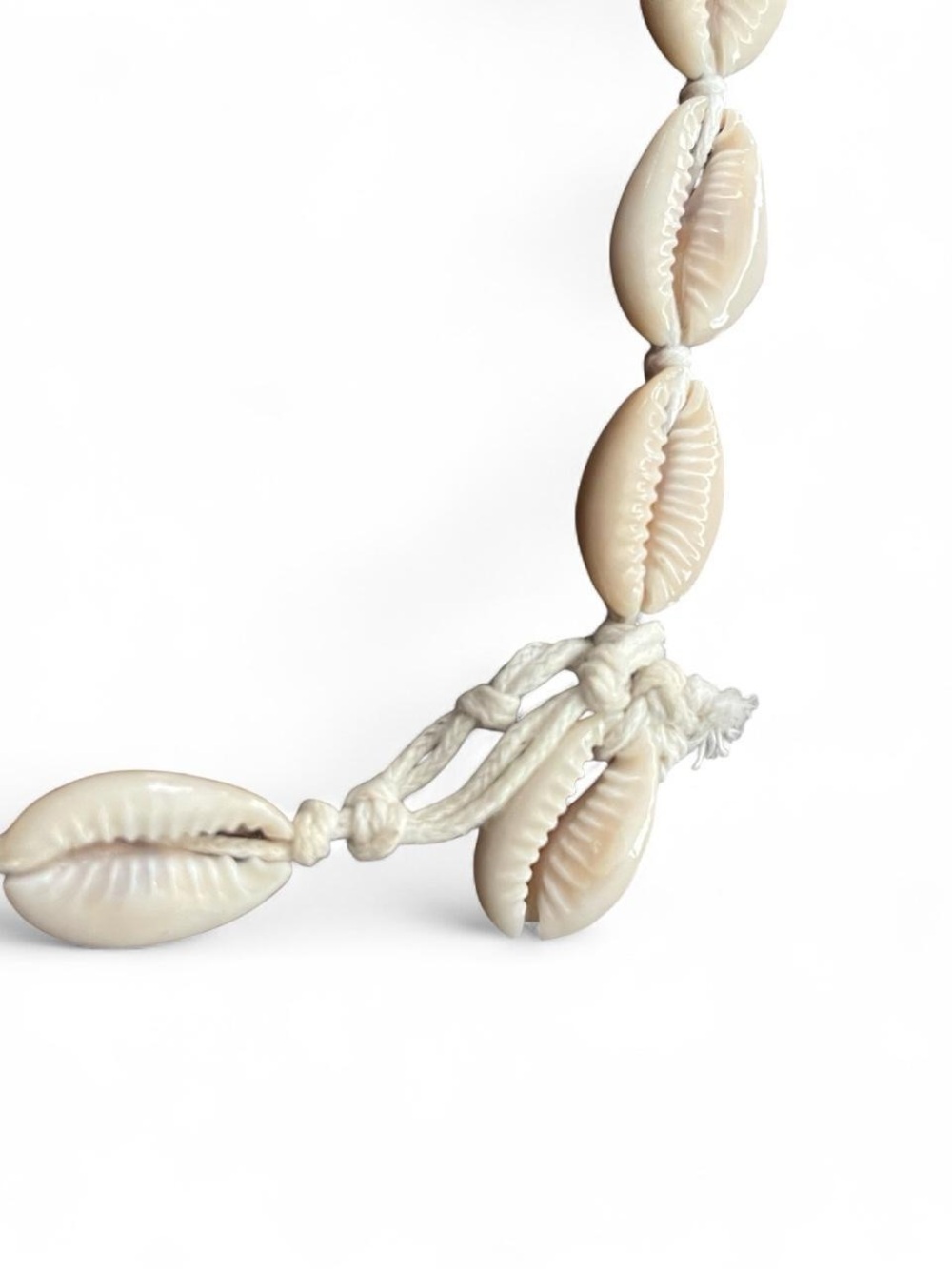 Cowrie Shell Choker - Picture 2 of 3